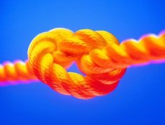 勞務(wù)派遣--全程、轉(zhuǎn)移、減員、項(xiàng)目及試用派遣